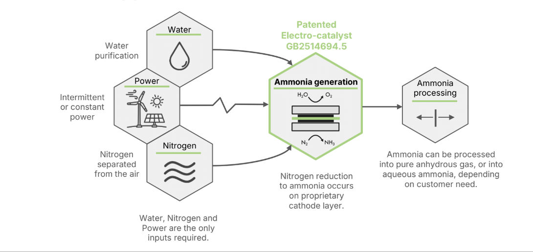 Rhizo PTX workflow